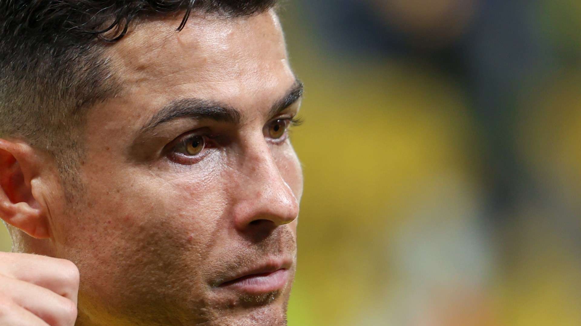 他们以忠诚 他们以忠诚